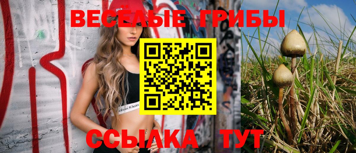 Псилоцибиновые грибы Cubensis Алексеевка