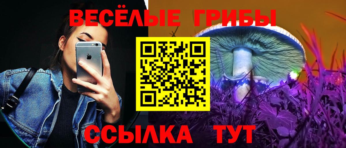 Псилоцибиновые грибы прущие грибы  Вход с VPN  Алексеевка 